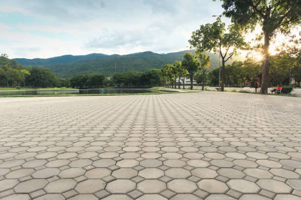Best Concrete Paver Driveway  in San Buenaventura, CA